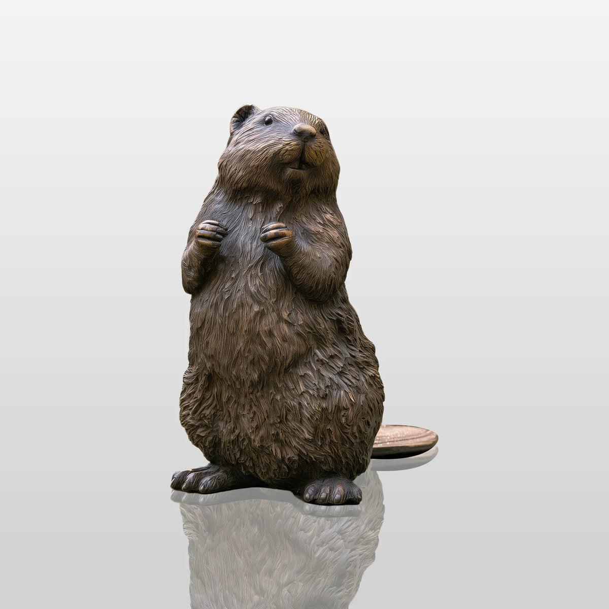 PREMIER Garden Bronze Beaver Statue for Entry Courtyard, Backyard Patio or Poolside PSB-216