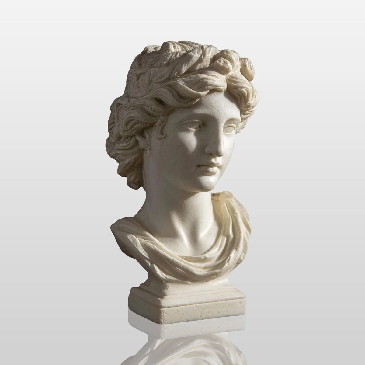 PREMIER Serene Lady Marble Bust Statue with Soft Expression for Sturdy, Living Room or Indoor Display Areas PSM-113